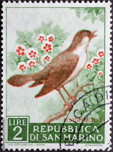 San Marino - circa 1960: A post stamp printed in San Marino showing a bird: Common Nightingale (Luscinia megarhynchos)