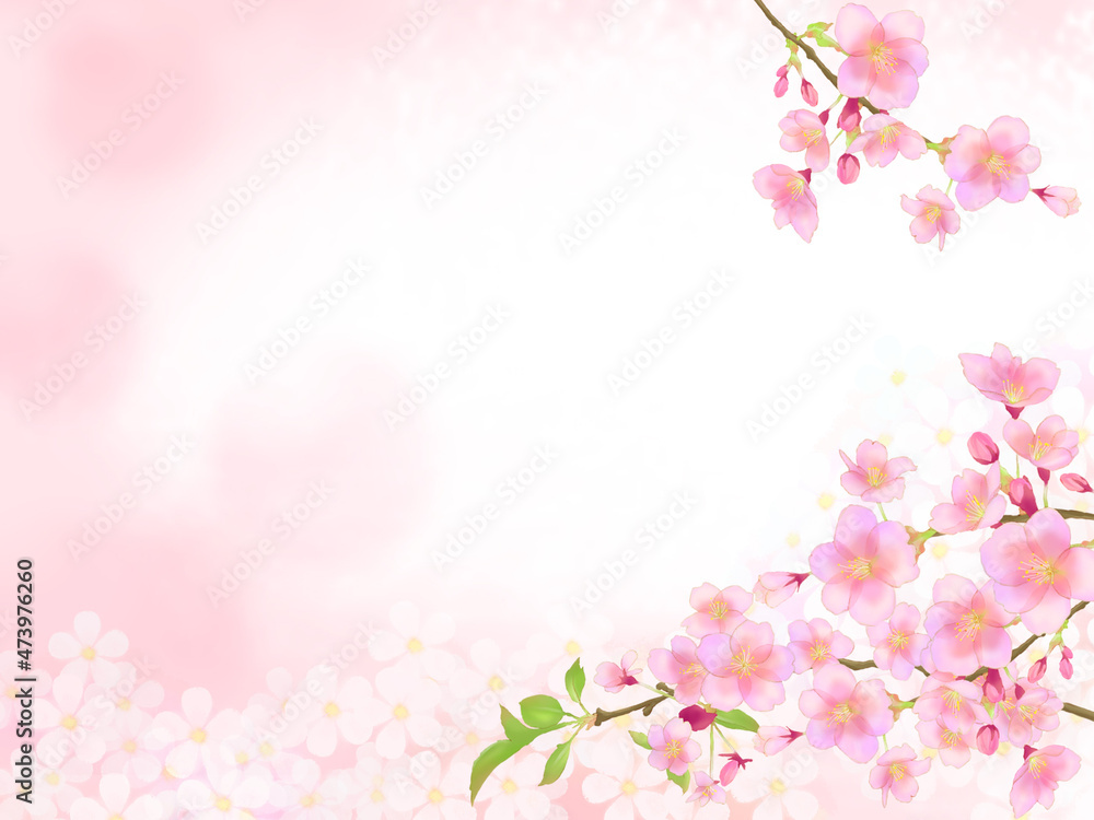 桜の枝とピンクの小花の背景フレーム