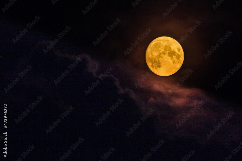 Fototapeta premium full moon and clouds