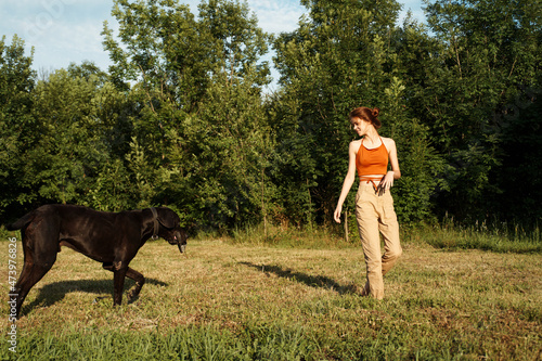 woman playing with a big black dog outdoors in the field fun friendship © VICHIZH