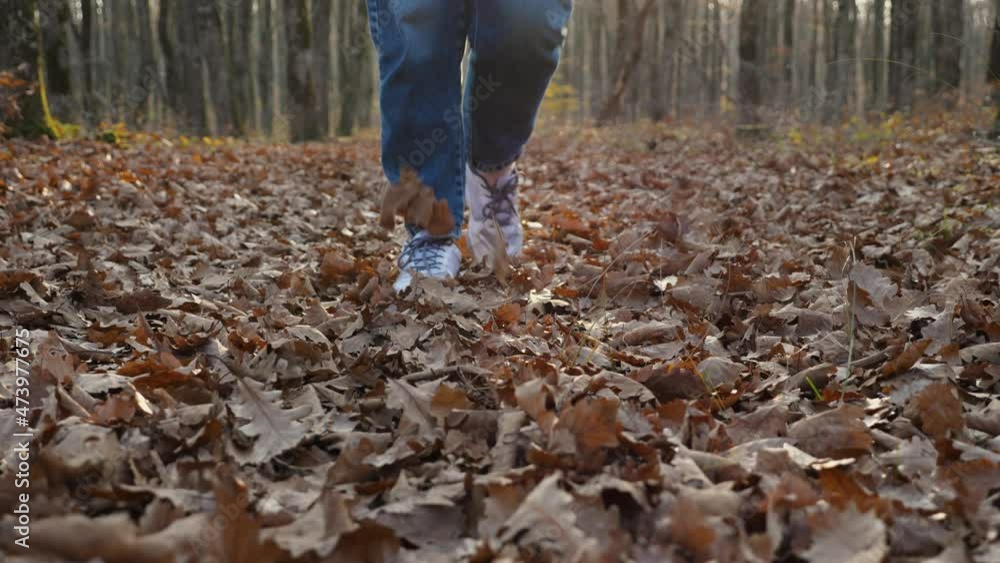 A woman wearing white sneakers, blue jeans, and a green sweatshirt walks through fallen leaves in an autumn forest. Woman walking through the woods. Moving to meet the camera A woman wearing white sneakers, blue jeans, and a green sweatshirt walks through fallen leaves in an autumn forest. Woman walking through the woods. Moving to meet the camera