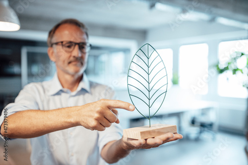 Businessman pointing at leaf shape model in office photo