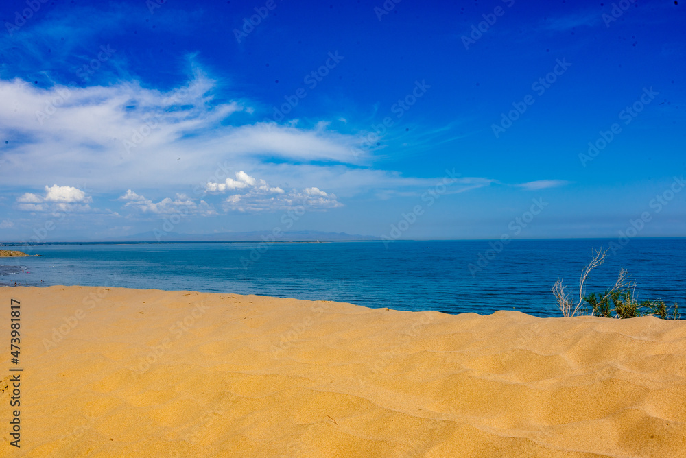Fototapeta premium beach with blue sky
