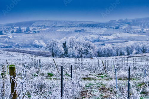 Winter in Beaujolais France