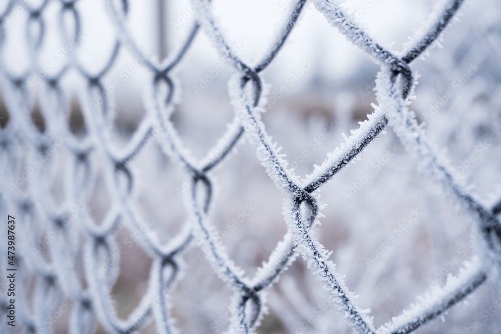 Fototapeta premium Frost on a metal grid against a winter background.