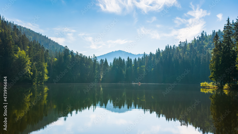 mountain landscape with lake in summer. beautiful forest scenery around the water. scenic travel background of synevyr national park, ukraine. green outdoor nature environment