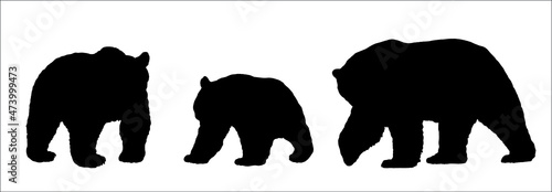 Polar bear, brown bear and panda bear illustration. Bear silhouette vector illustration.	