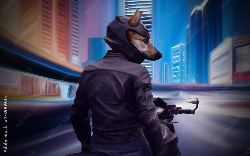 custom made wallpaper toronto digitalcool dog motorcyclist in the night city