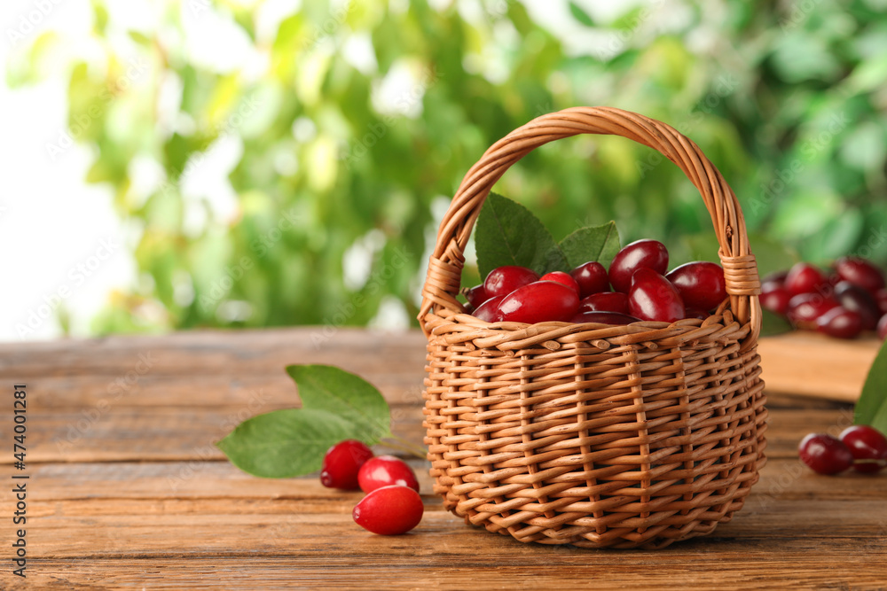 Fresh ripe dogwood berries with green leaves in wicker basket on wooden table, space for text Fresh ripe dogwood berries with green leaves in wicker basket on wooden table, space for text