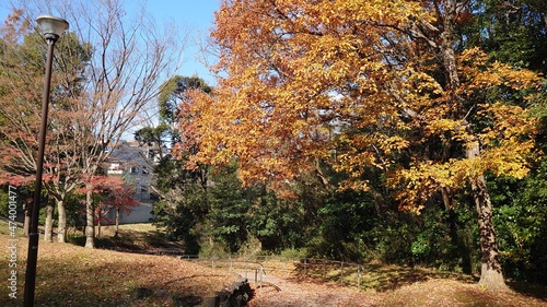 秋の公園の小道