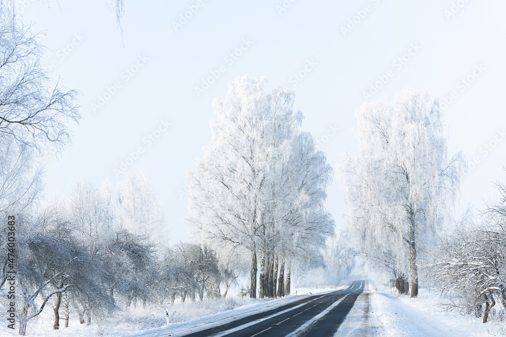 snow covered road in winter frozen birch trees alley blue sky sunshine wonderland narrow road white center line snow covered road in winter frozen birch trees alley blue sky sunshine wonderland narrow road white center line