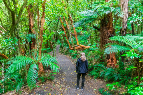 New Zealand, Oceania, South Island, Otago, Caberfeidh, Rear view of woman on footpath in forest