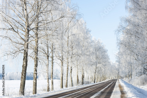 snow covered road in winter frozen birch trees alley blue sky sunshine wonderland narrow road white center line © Nauris