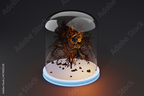 Three dimensional render of display jar with dying tree photo