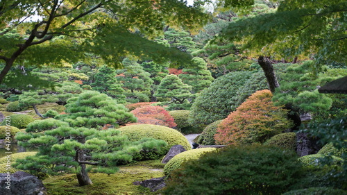 日本庭園の風景