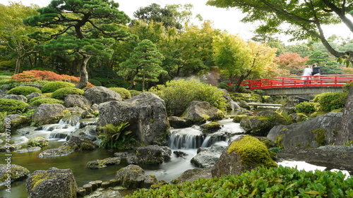 日本庭園の風景