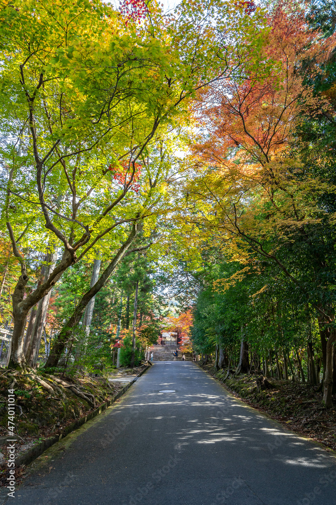 Obraz premium 曼殊院門跡