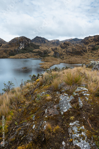 The amazing reserve of Cajas in Ecuador 