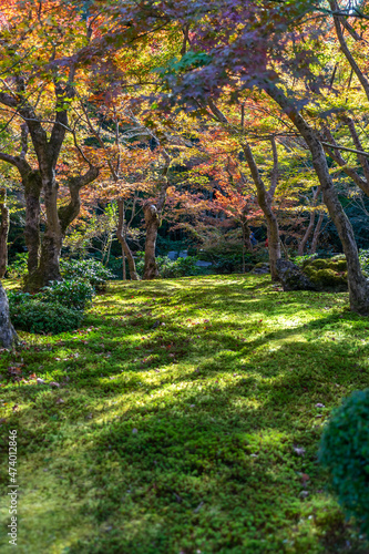 圓光寺