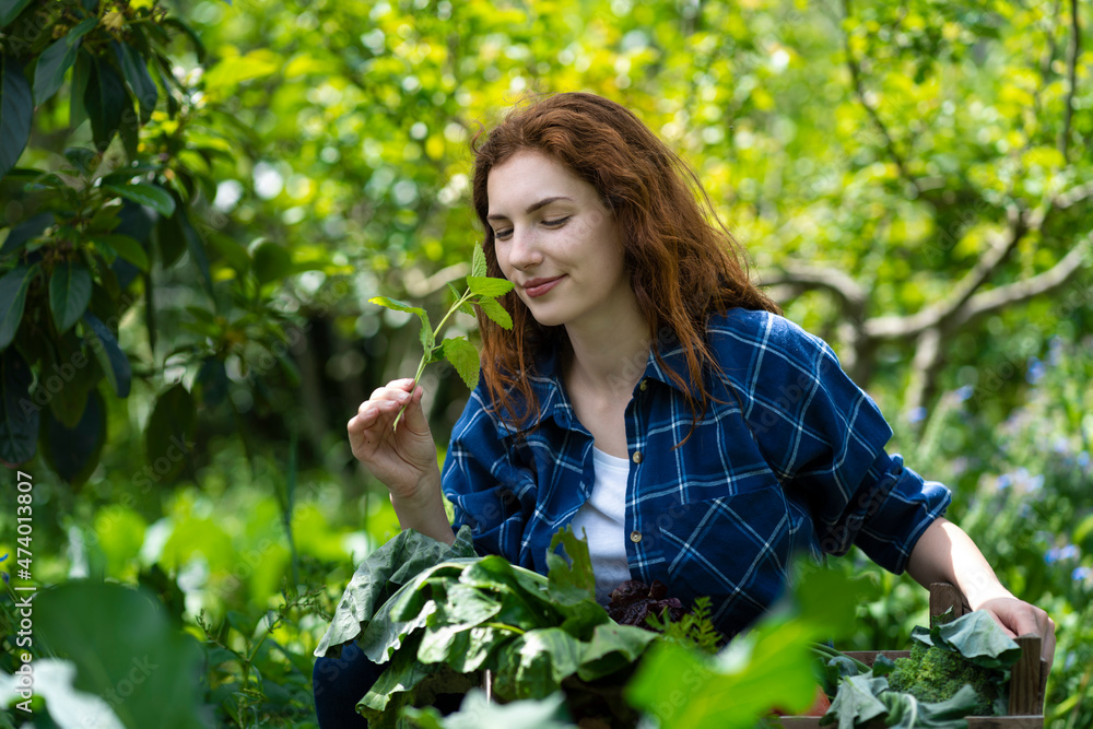 Young woman smelling fresh mint leaves in garden Young woman smelling fresh mint leaves in garden
