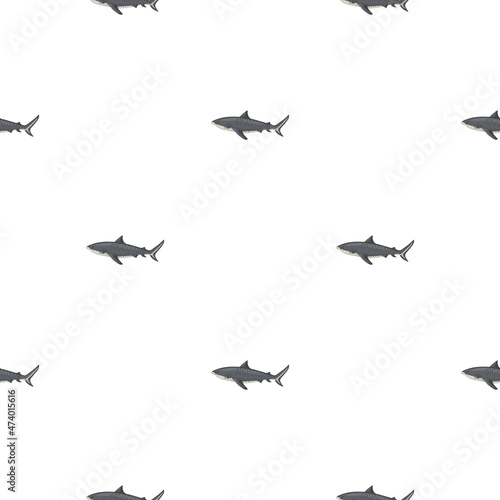 Seamless pattern Tiger shark isolated on white background. Gray textured of marine fish for any purpose.