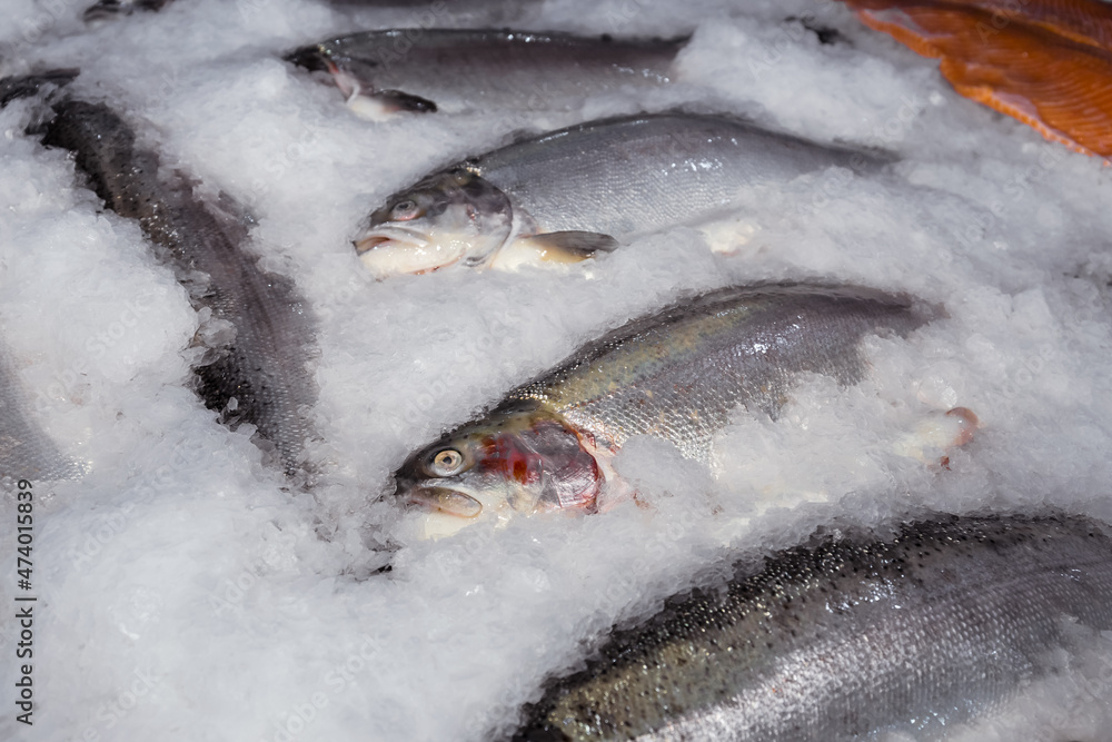 The a fresh salmon on ice at a fish market.Close-up. The a fresh salmon on ice at a fish market.Close-up.