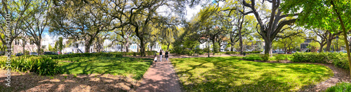 Tourists walk along beautiful city park, panoramic view. - Panoramic view