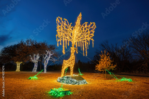 Night view of the beautiful Christmas decoration lights in Mitch Park photo