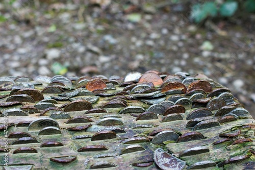 Coins in a log