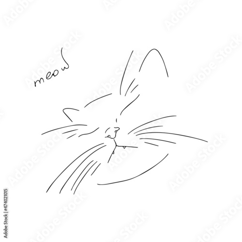 Vector illustration. Cat face drawn with a line