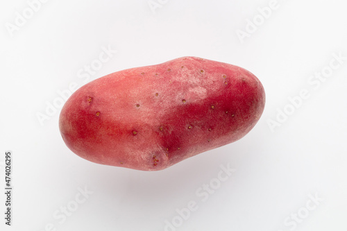 Red potato isolated on white background. © gitusik