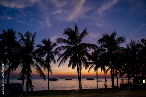 Sunset on the beach and palm trees