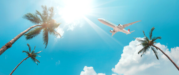  Blue sky with coconut trees, The airplane is going to the tropical sea beach. for sightseeing and relaxing in the summer holidays.