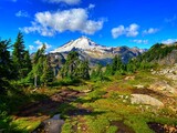 landscape of mount baker with forest, trees clouds, and blue sky