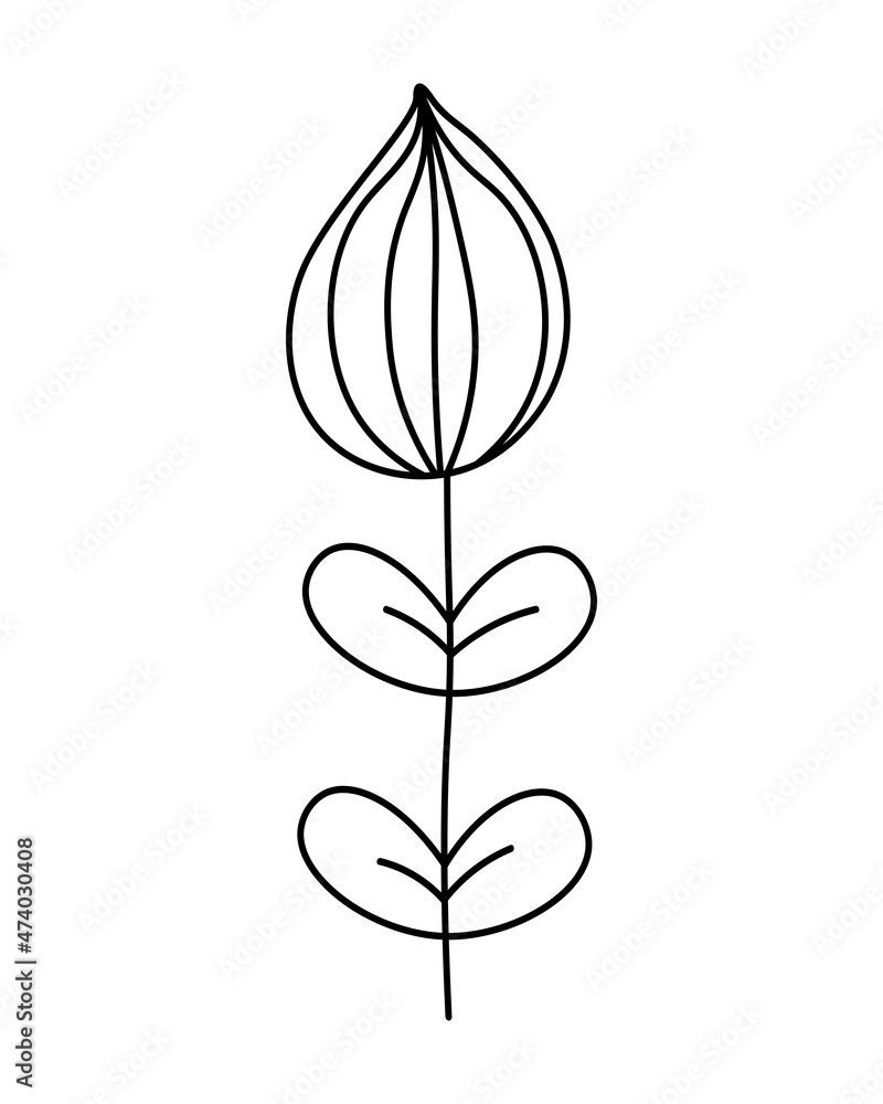 Flower line decoration. Drawing for design, logo, postcard, decor, tattoo. Herbal tea. Vector illustration in doodle style isolated on background. Flower line decoration. Drawing for design, logo, postcard, decor, tattoo. Herbal tea. Vector illustration in doodle style isolated on background.