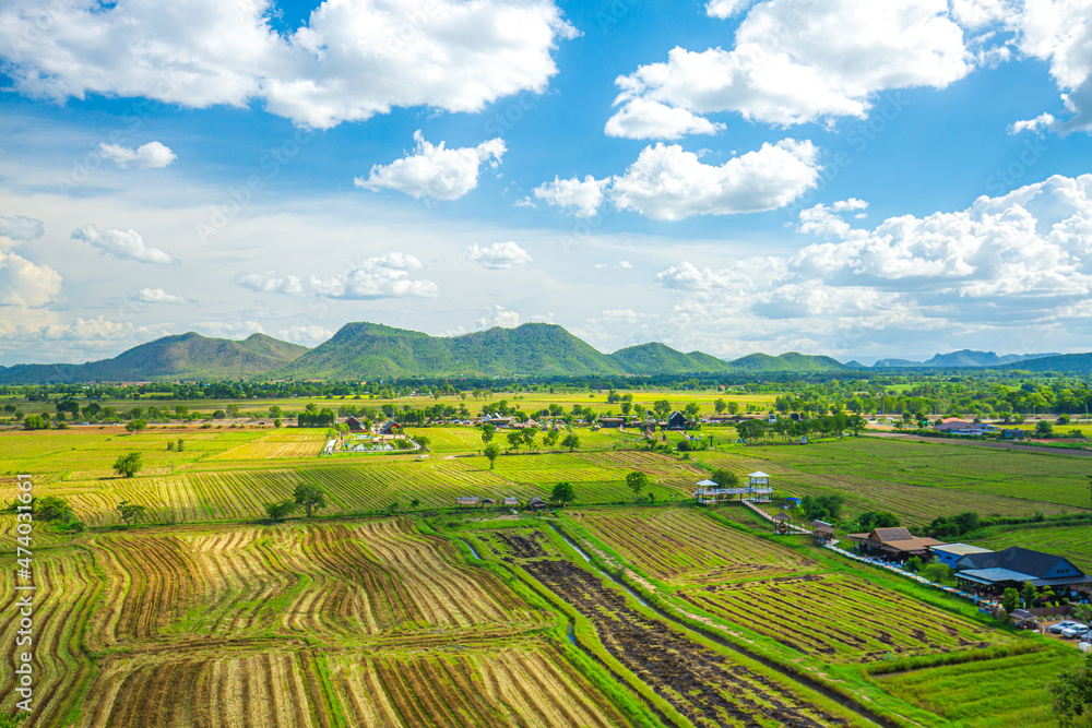 Rice Terrace Aerial Shot. Image of beautiful terrace rice field in Chiang Rai Thailand