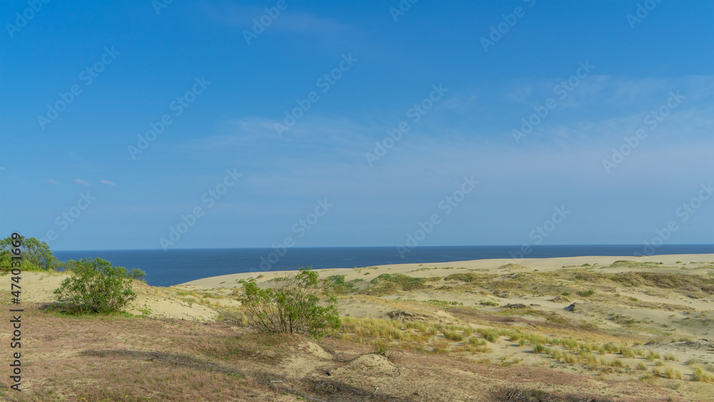 Sand dune Efa on the Curonian Spit, Baltic Sea, Kaliningrad region, Russia. Rare bushes on a sand dune on a sunny day in summer