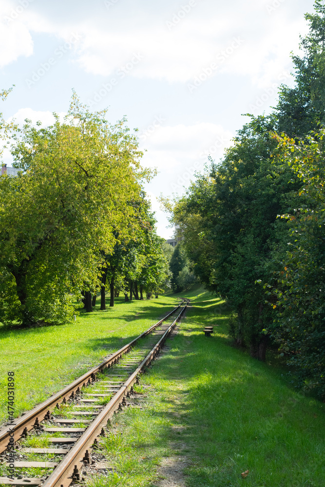 railway in the forest