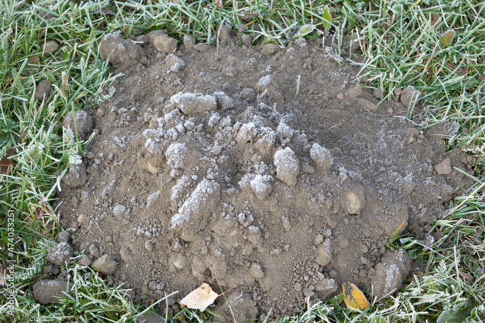 Fototapeta premium earthen slide from a mole
