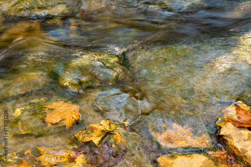 autumn leaves on the rocks in the stream