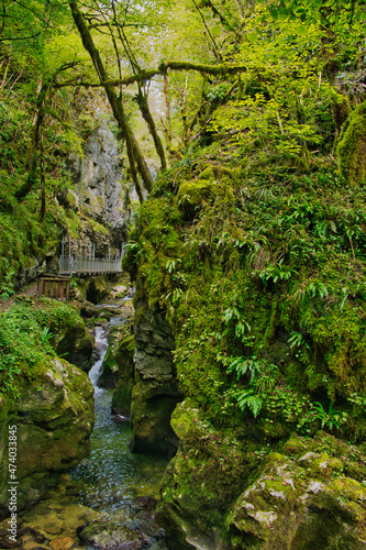 The deep  narrow and heavily forested canyon of the Gorges de l   abime  Saint-Claude  Jura  France 