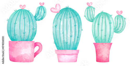 cactus heart flower in pink pot ,sweet cactus for Valentine's Day , cactus love with clipping path
