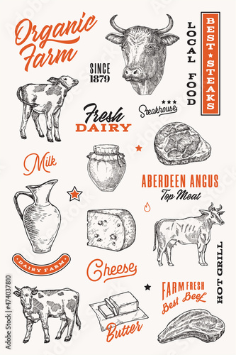 Organic farm hand drawn symbols and illustrations with typography compositions. Dairy and meat slhouette signs with cows, beef steaks, cheese and milk collection Butchery design elements set