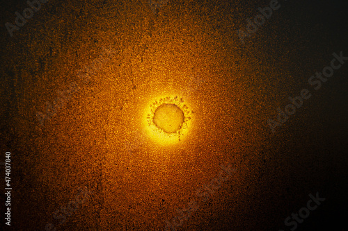 Background in the form of a real type of omicron virus strain under a microscope.