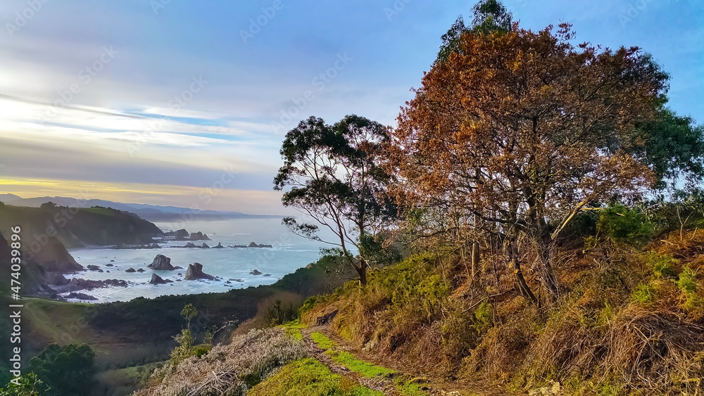 Autumn landscape. Trees with yellow leaves on a mountain slope, a path along the edge of a cliff against the background of the sea coast with rocks in the water