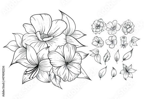set of beautiful line art rose flower arrangement