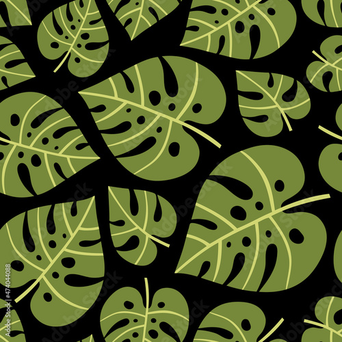 Vector tropical palm and monstera leaves on black background. photo