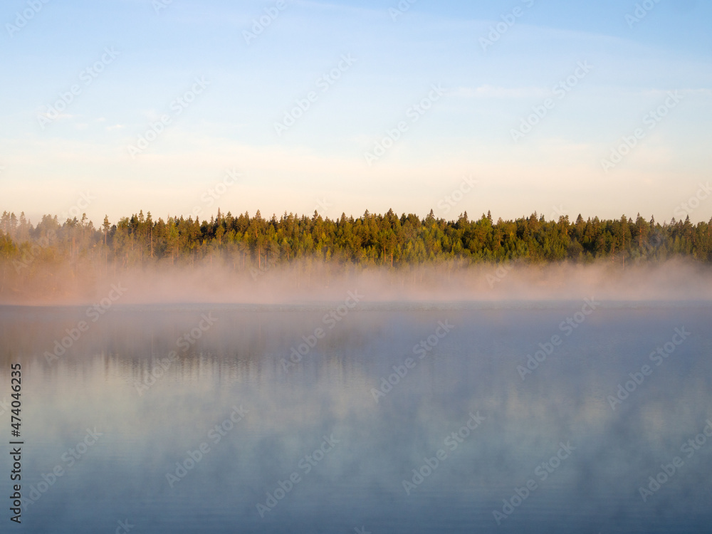 Fototapeta premium fog on a forest lake
