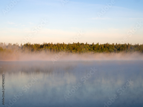 fog on a forest lake