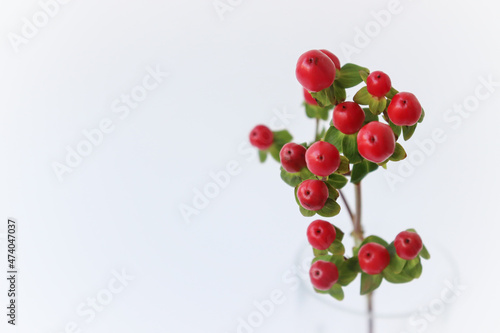 Decorative twig with red berries